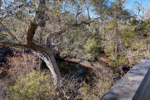 14 Lizard Lane, Sopchoppy FL - photo 13 of 36