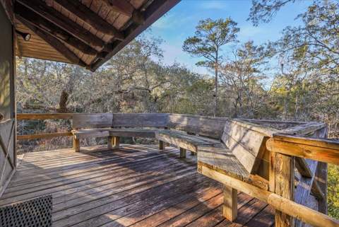 14 Lizard Lane, Sopchoppy FL - photo 9 of 36