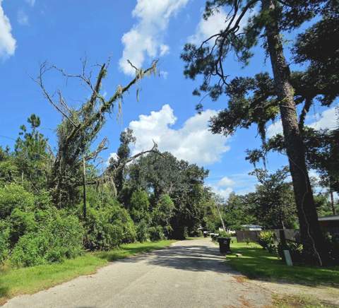 911 N Veterans Drive, Perry FL - photo 22 of 22