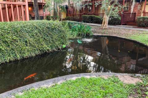 396 S Franklin Boulevard, Tallahassee FL - photo 22 of 24