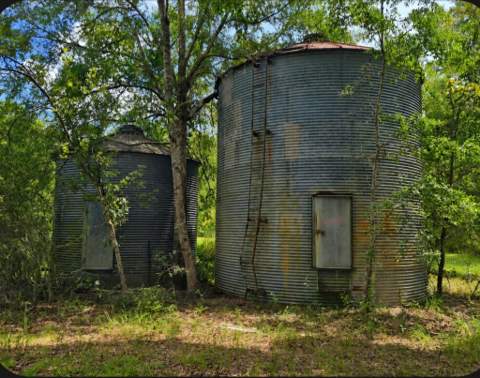 604 New Light Church Road, Crawfordville FL - photo 23 of 56