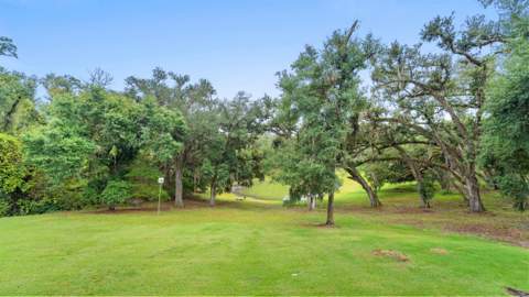 636 NE Pineridge Ranch Road, Madison FL - photo 11 of 59