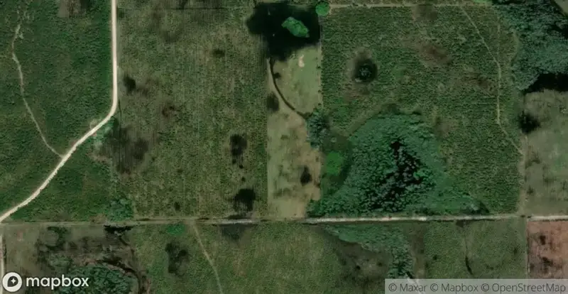 Natures HammockHomes for Sale in Mayo, FL