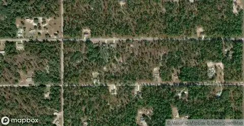 Rainbow Lakes Estate Homes for Sale in Dunnellon, FL
