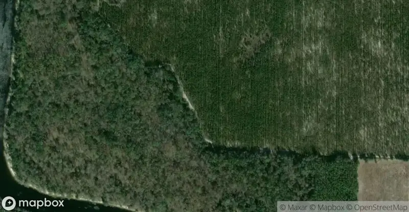 Three Rivers EstatesHomes for Sale in Branford, FL