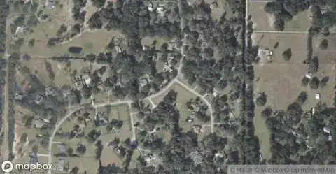 Wolfbranch EstatesHomes for Sale in Sorrento, FL