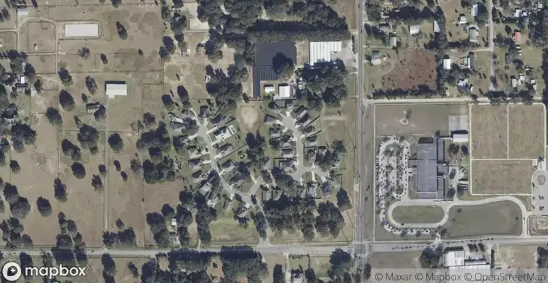 Wolfbranch MeadowsHomes for Sale in Sorrento, FL