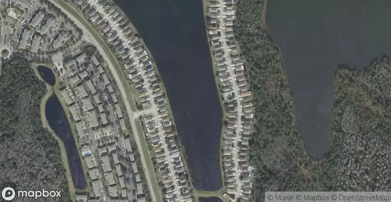 Young PineHomes for Sale in Orlando, FL