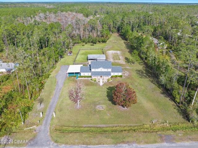 Plantation Pines