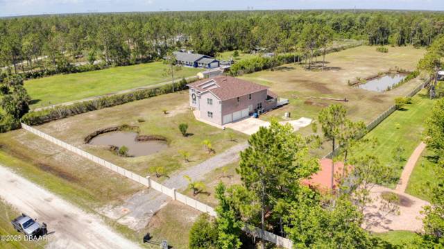 Plantation Pines