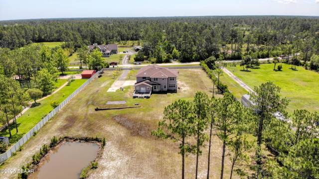 Plantation Pines