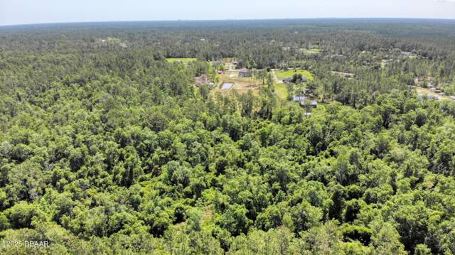 Plantation Pines
