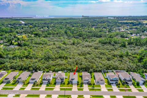 2815 Westwood Avenue, New Smyrna Beach FL - photo 12 of 36