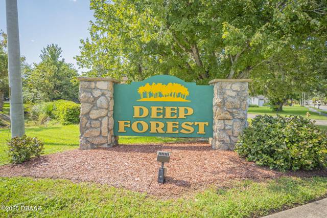 Deep Forest Village