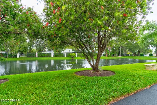 Charter Oaks