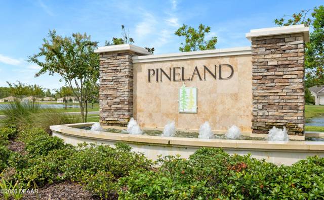 Pineland