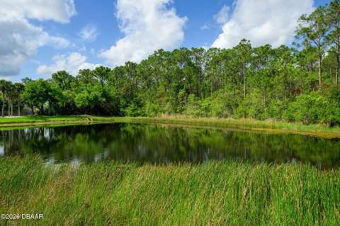 6282 Paradise Island Court, Port Orange FL - photo 12 of 60