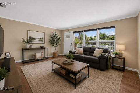 102 N Capri Drive, Ormond Beach FL - photo 11 of 47