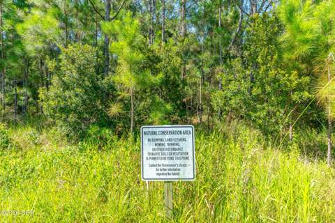 289 Crestwind Drive, Daytona Beach FL - photo 6 of 44