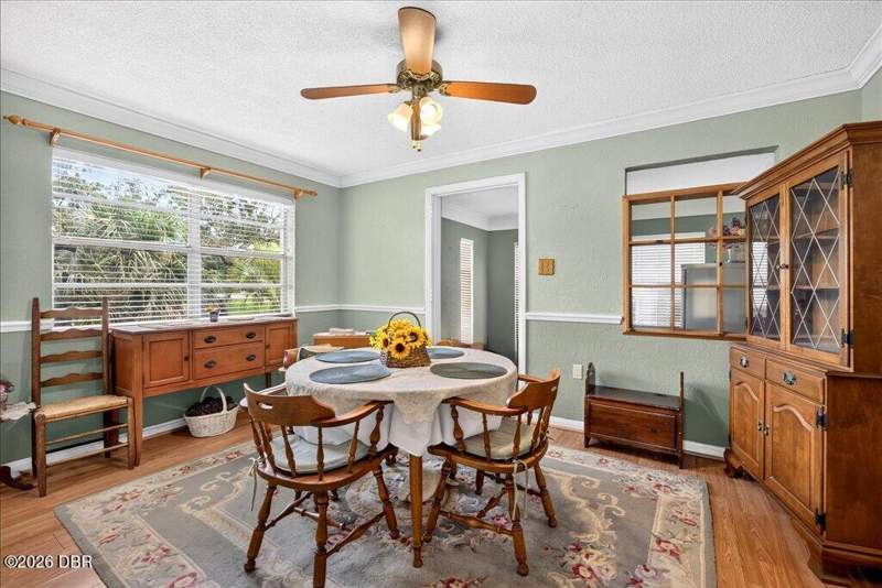 3 bedroom Single Family Residence at 404 Pine Road, Ellinor Village, Ormond Beach — photo 4