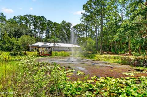 590 County Road 325, Bunnell FL - photo 8 of 57