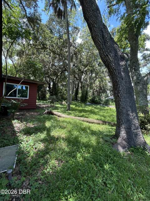 840 Pineapple Road, South Daytona FL - photo 21 of 23