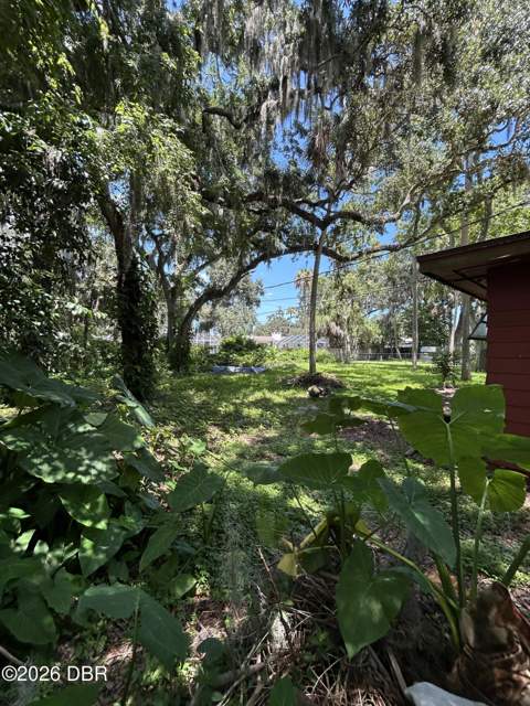 840 Pineapple Road, South Daytona FL - photo 20 of 23