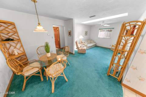 4715 S Peninsula Drive, Ponce Inlet FL - photo 19 of 72