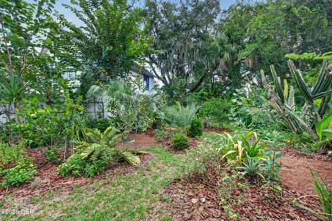 718 Avenue A, Holly Hill FL - photo 10 of 13