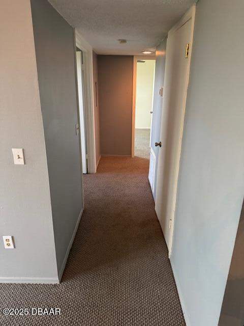 1401 S Palmetto Avenue #714, Daytona Beach FL - photo 12 of 36
