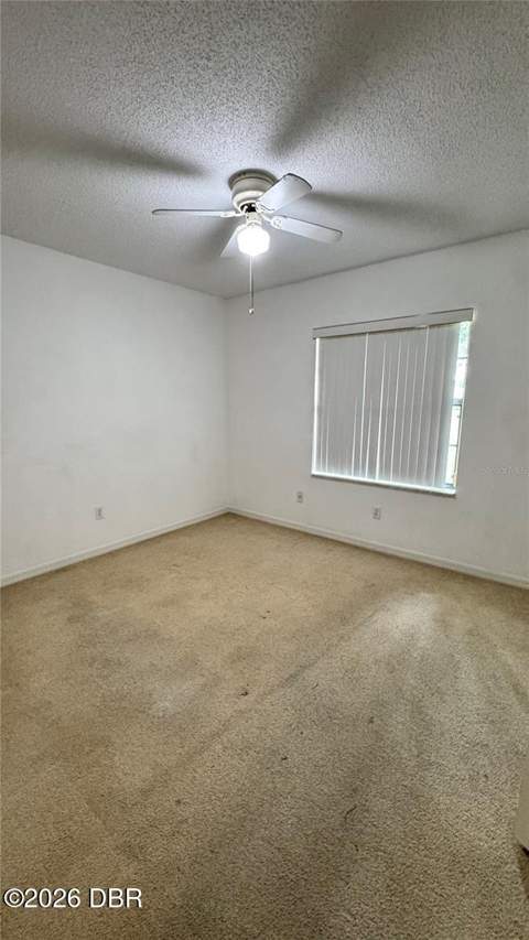 29 White Deer Lane, Palm Coast FL - photo 23 of 41