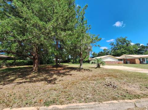 131 Phillips Drive, Crestview FL - photo 8 of 39