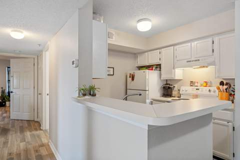 4009 Dancing Cloud Court #48, Destin FL - photo 10 of 30