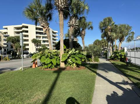 100 Gulf Shore Drive #306, Destin FL - photo 11 of 52