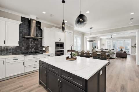 107 Grande Pointe Drive, Inlet Beach FL - photo 16 of 78