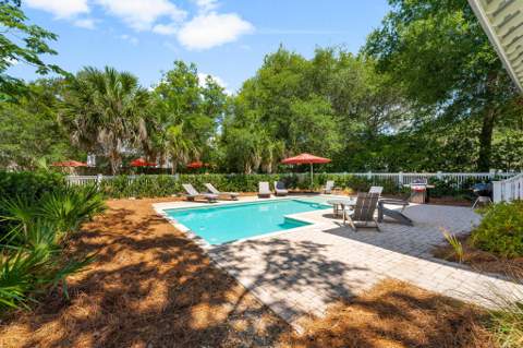 515 Seacrest Drive, Inlet Beach FL - photo 20 of 62