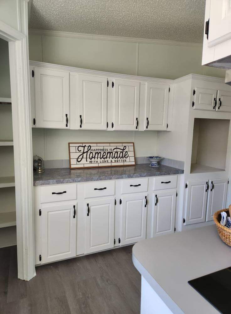 3 bedroom Mobile Home at 458 Royal Palm Avenue, Oakwood Hills Unit 1, DeFuniak Springs — photo 3