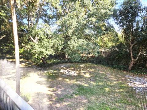4276 Calinda Lane #Apt 125, Niceville FL - photo 22 of 25
