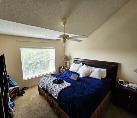 4274 Calinda Lane #Apt 254, Niceville FL - photo 7 of 15