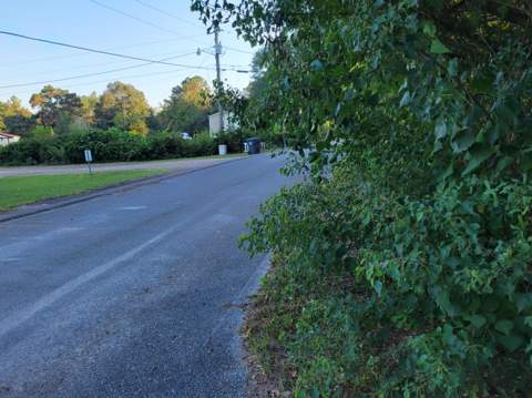 253 Argyle Church Road, DeFuniak Springs FL - photo 8 of 10