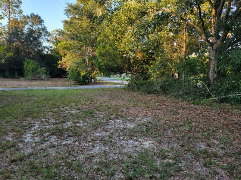 0 bedroom Manufactured Home at 253 Argyle Church Road, Metes and Bounds, DeFuniak Springs — photo 3
