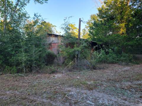 253 Argyle Church Road, DeFuniak Springs FL - photo 9 of 10
