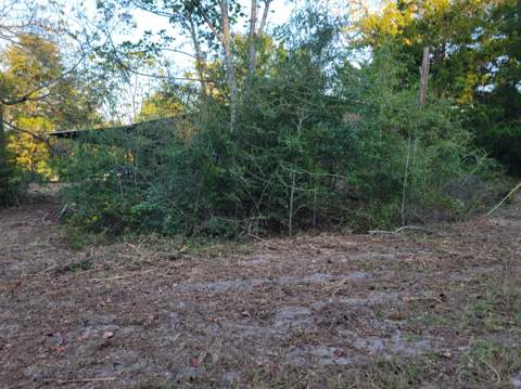 253 Argyle Church Road, DeFuniak Springs FL - photo 6 of 10