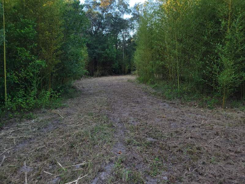 0 bedroom Manufactured Home at 253 Argyle Church Road, Metes and Bounds, DeFuniak Springs — photo 5