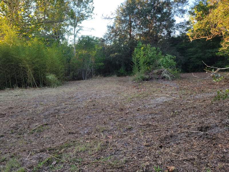 0 bedroom Manufactured Home at 253 Argyle Church Road, Metes and Bounds, DeFuniak Springs — photo 4