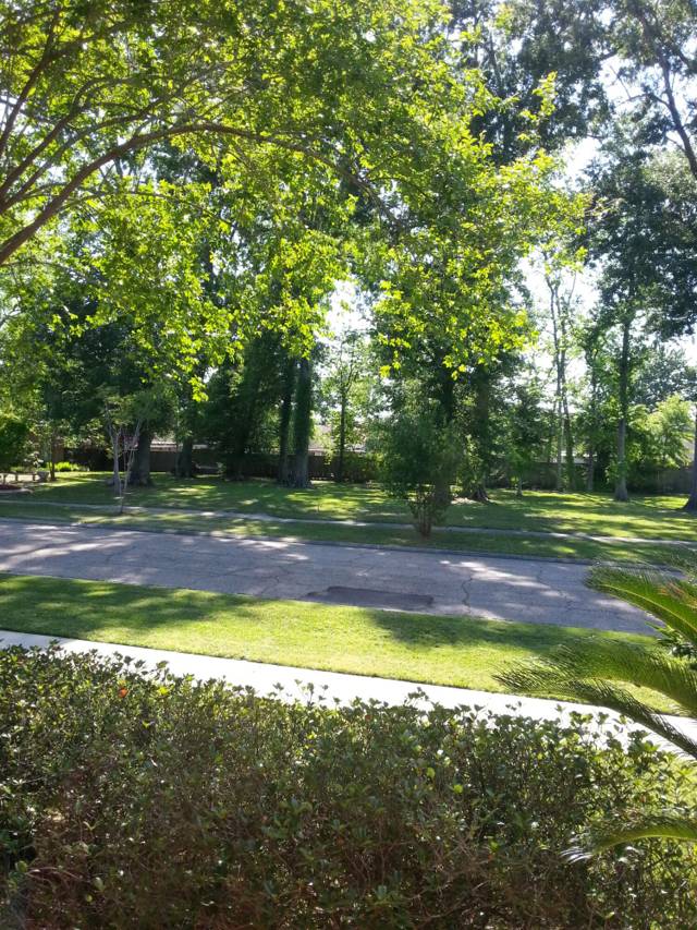 Carnegie Hills