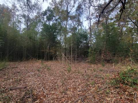 228 Double Bridge Road, Laurel Hill FL - photo 13 of 23