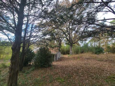 228 Double Bridge Road, Laurel Hill FL - photo 10 of 23