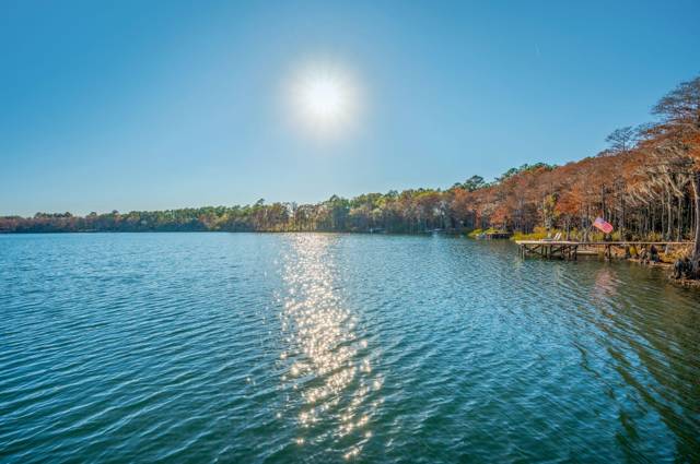 516 Blue Pond Circle, home for sale in Ponce De Leon