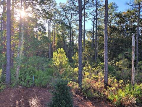53 Rosin Cup Circle, Santa Rosa Beach FL - photo 22 of 22